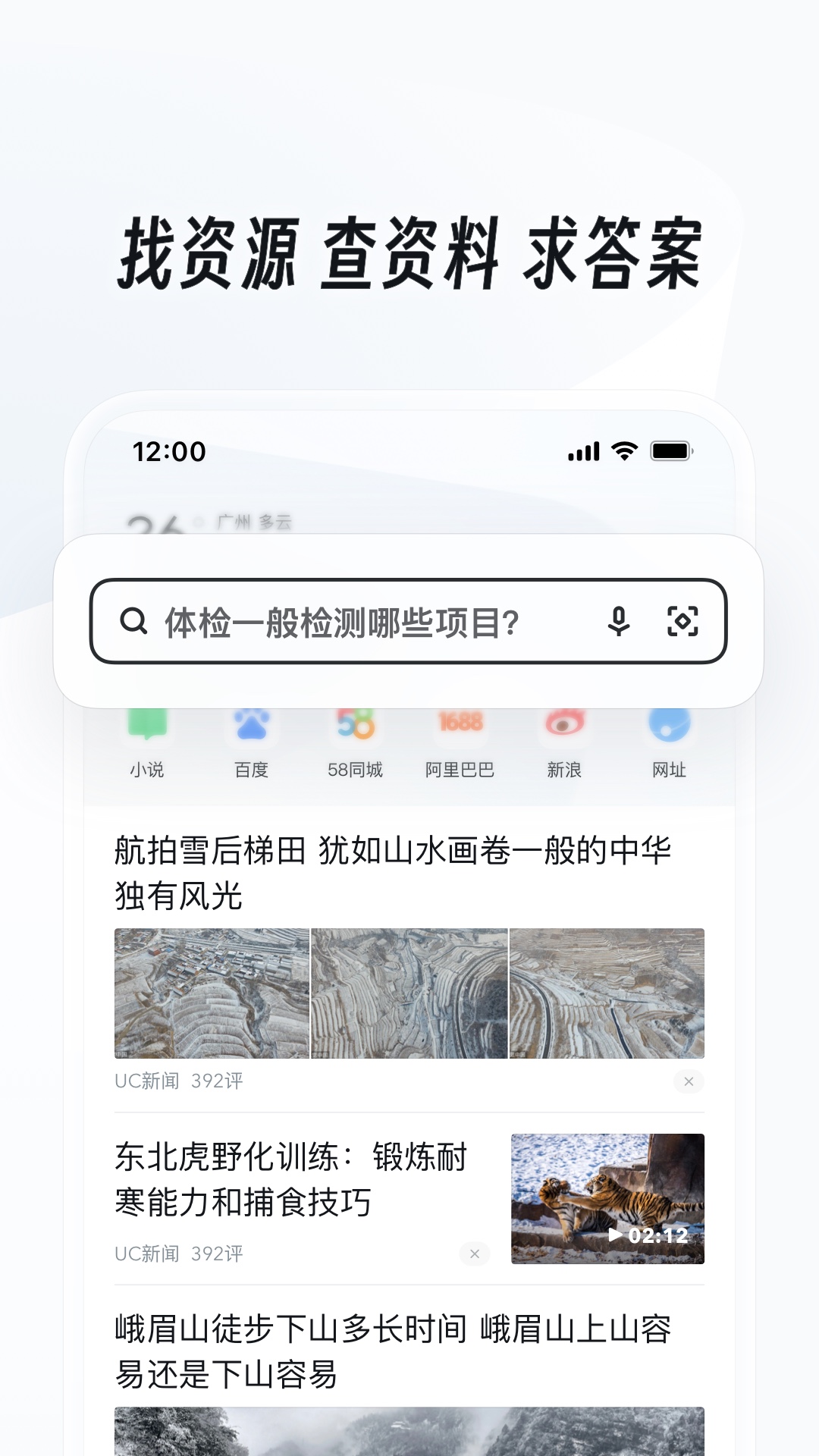 鸽宝女王截图